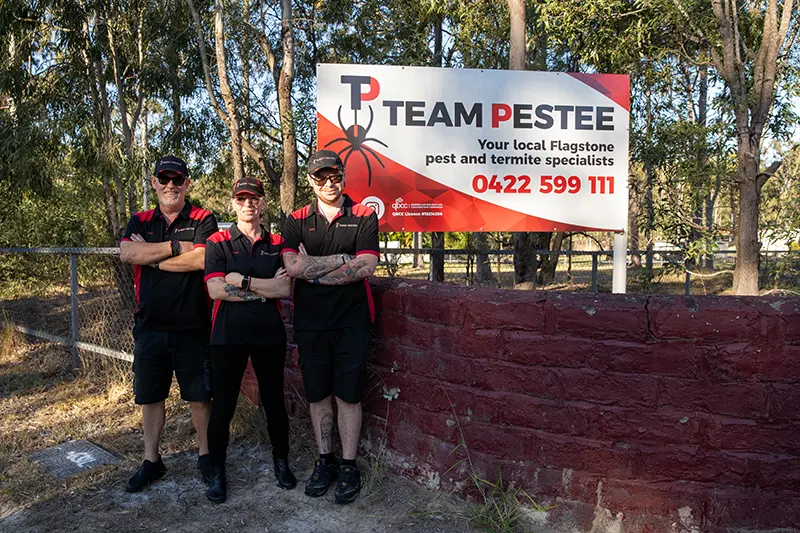 team pestee pest control fully licensed